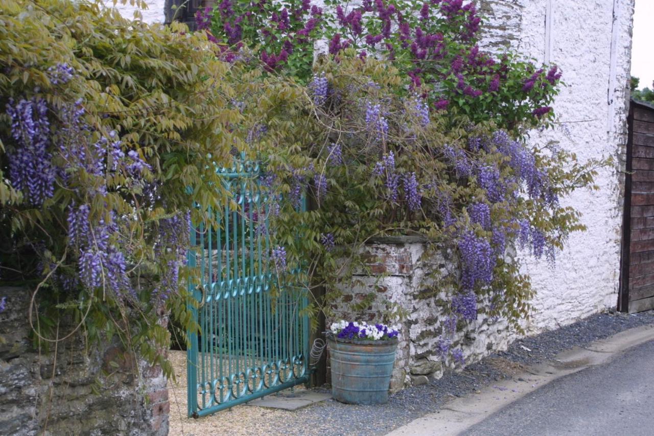 La Vie En Rose Hotel Gouvy Exteriér fotografie